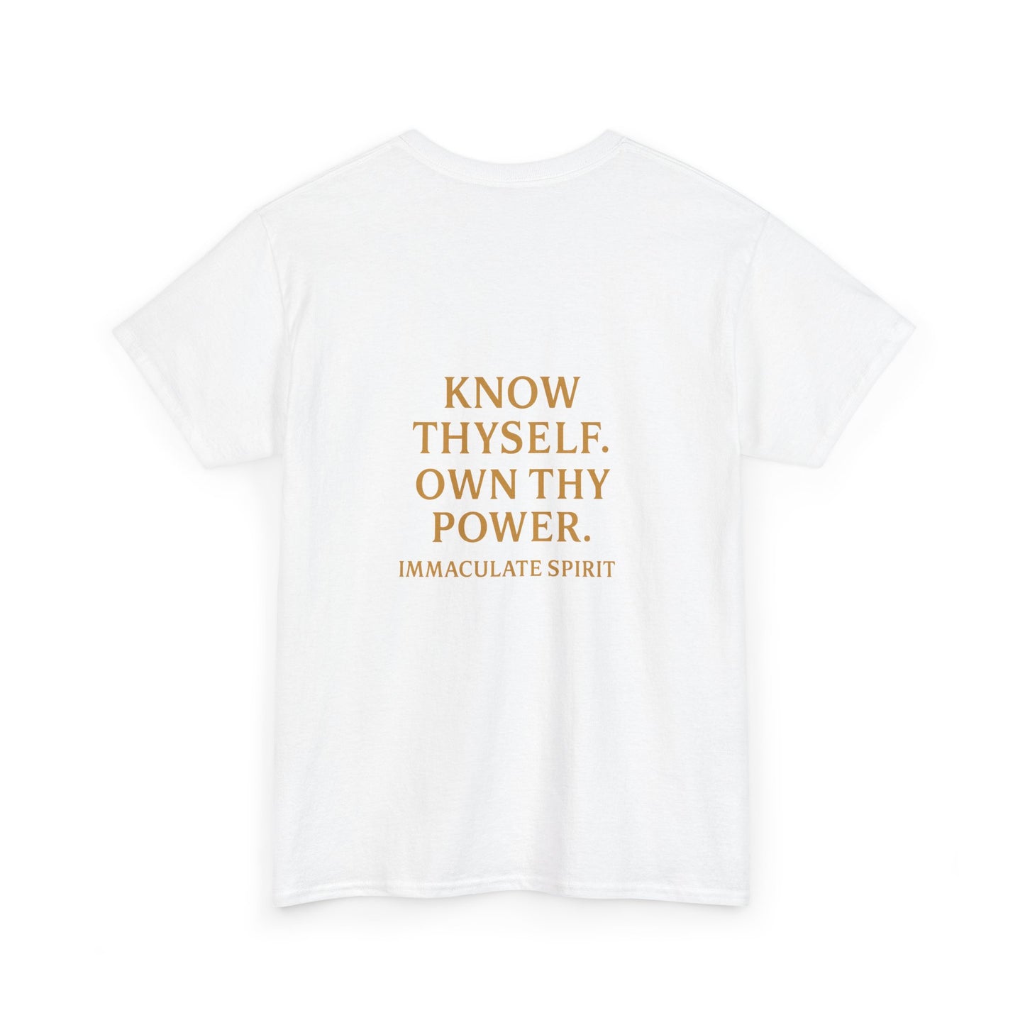 Divine Authority Tee