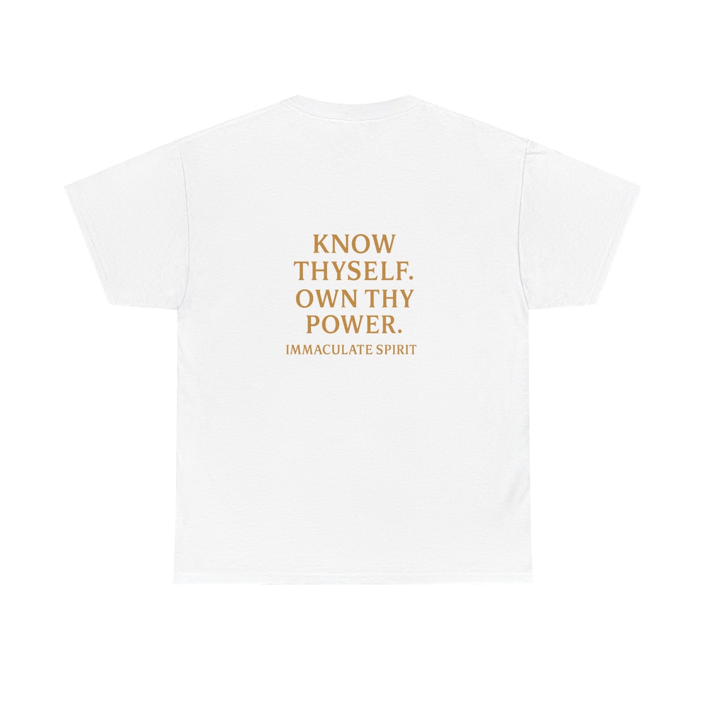 Divine Authority Tee